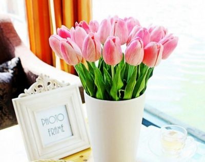 как сохранить срезанные тюльпаны в домашних условиях