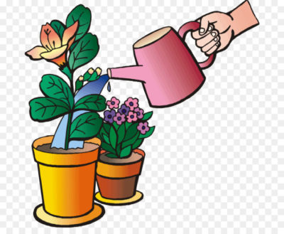 полив комнатных растений