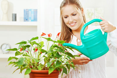 полив комнатных растений