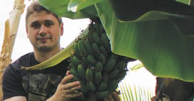 как вырастить банан дома